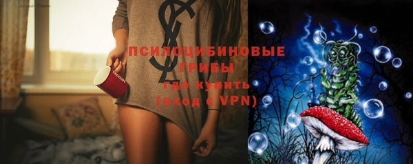 сатива Пересвет