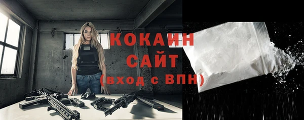 сатива Пересвет