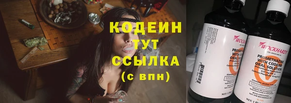 сатива Пересвет