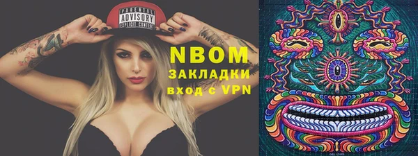 сатива Пересвет